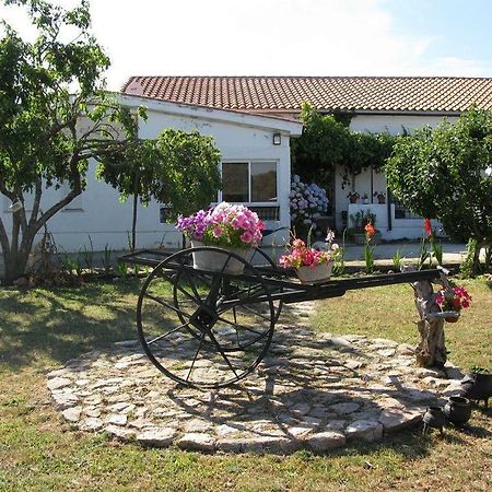 El Condado Casa Rural Fuentes de Onoro Exterior foto
